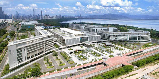 香港大学香港医院